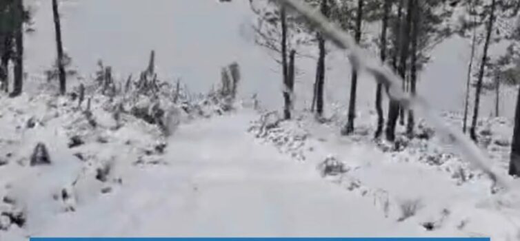 Estreito acorda coberto de neve