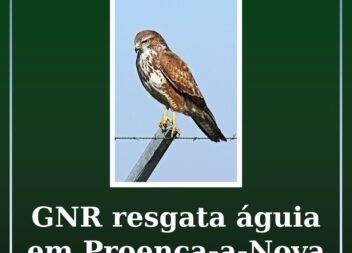 GNR regata águia em Proença-a-Nova