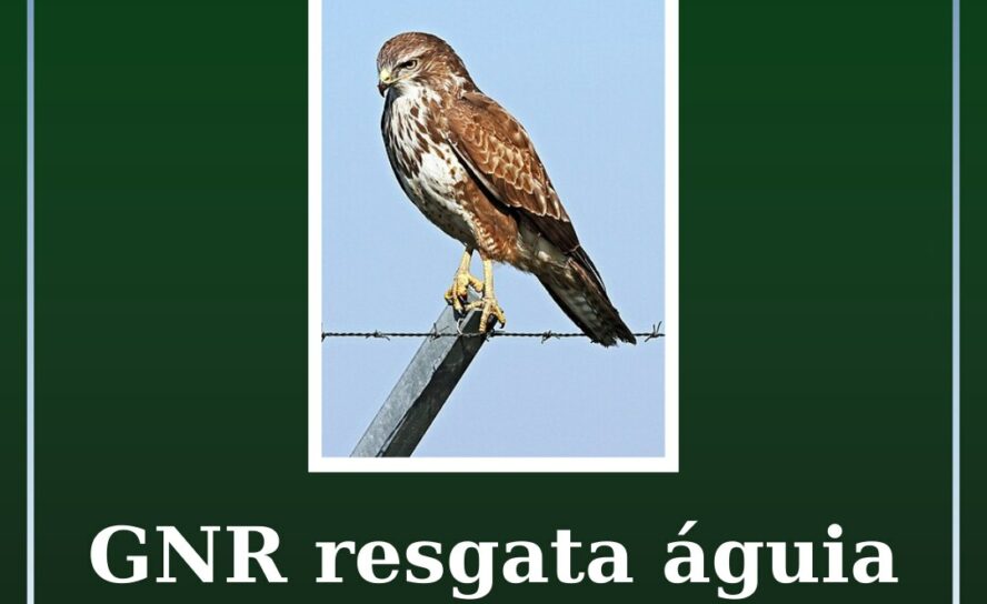 GNR regata águia em Proença-a-Nova