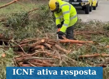 ICNF ativa resposta de emergência após danos causados pela tempestade Kristin