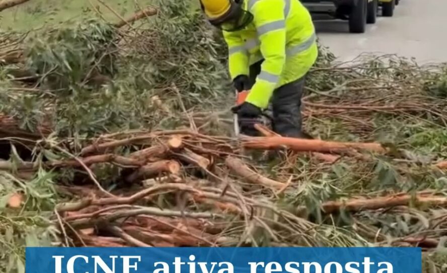 ICNF ativa resposta de emergência após danos causados pela tempestade Kristin