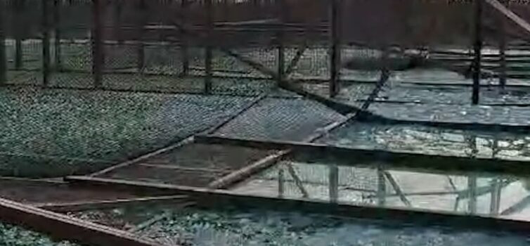 Iniciado levantamento de danos da tempestade Kristin em Castelo Branco