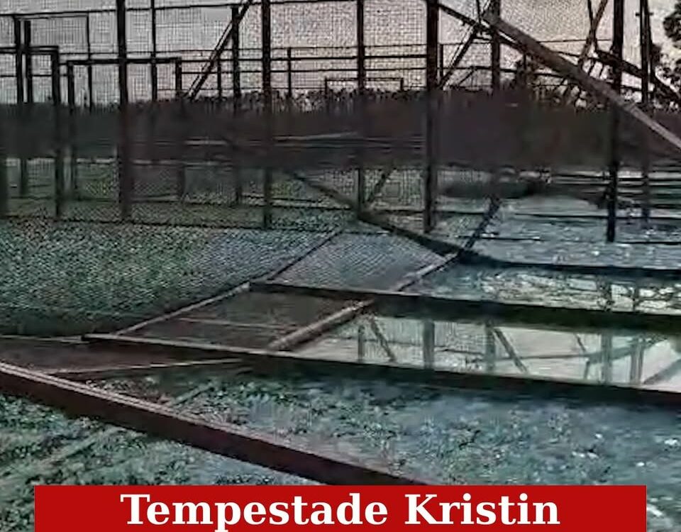 Iniciado levantamento de danos da tempestade Kristin em Castelo Branco
