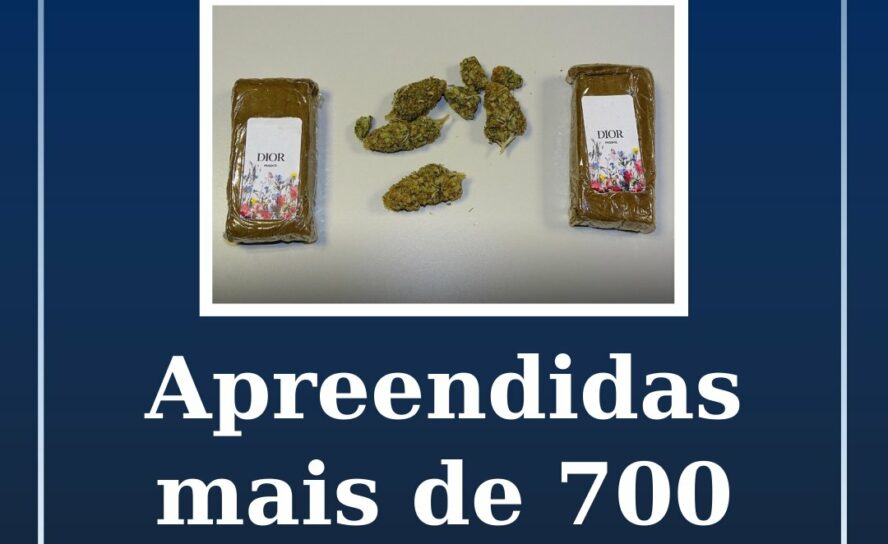 Mais de 700 doses de droga apreendidas em Castelo Branco