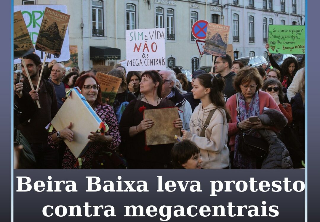 Manifestação em Lisboa contesta megacentrais solares na Beira Baixa