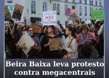 Manifestação em Lisboa contesta megacentrais solares na Beira Baixa