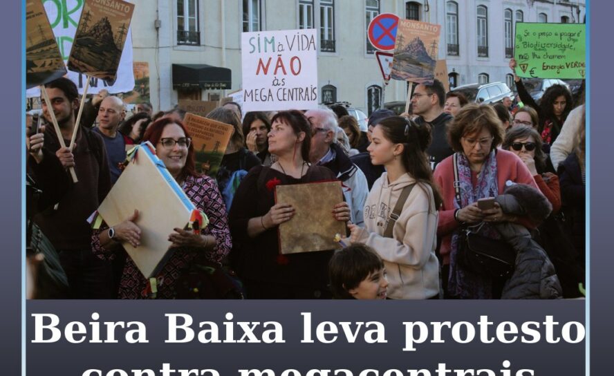Manifestação em Lisboa contesta megacentrais solares na Beira Baixa