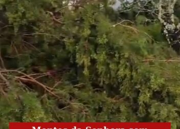 Montes da Senhora sem eletricidade e comunicações após depressão Kristin