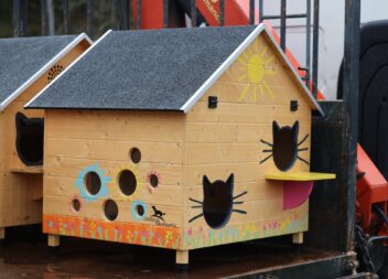 Município da Sertã distribui abrigos para gatos