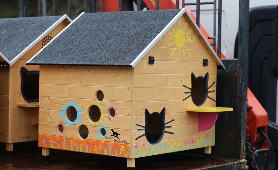 Município da Sertã distribui abrigos para gatos