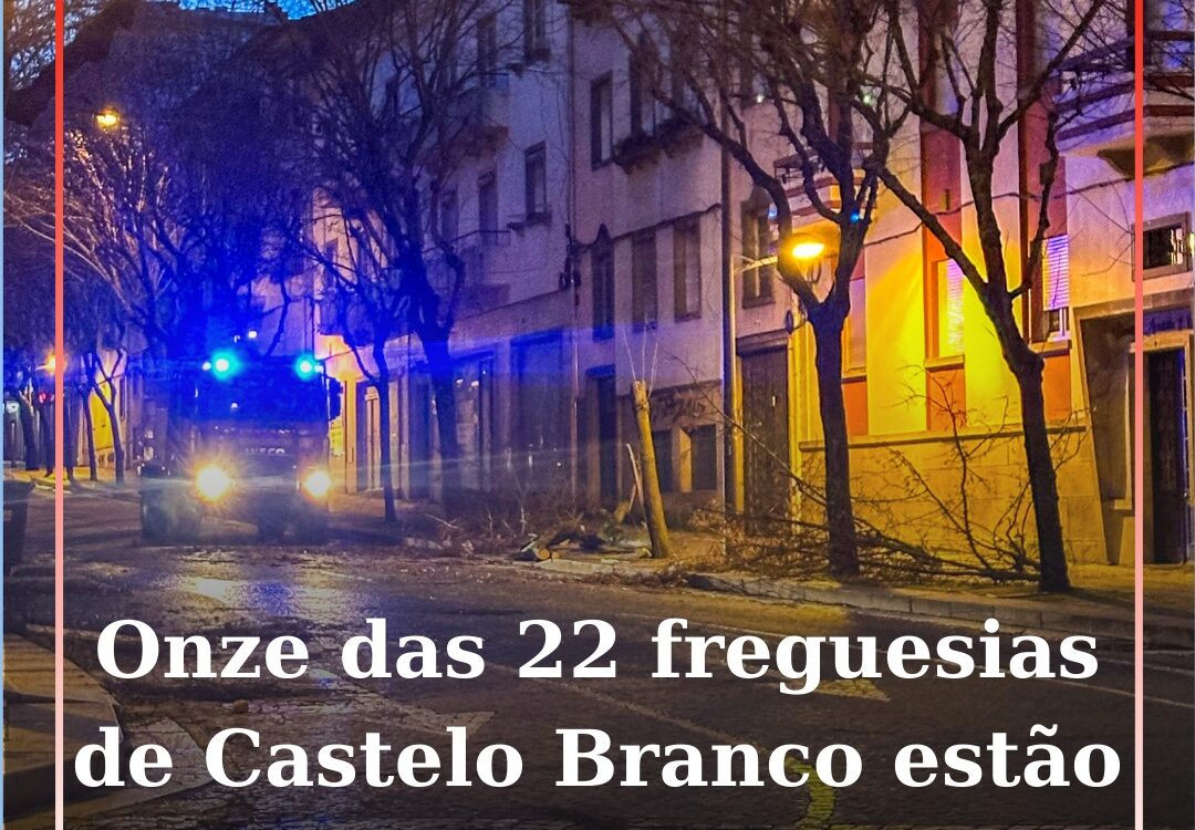 Onze das 22 freguesias de Castelo Branco estão sem energia elétrica