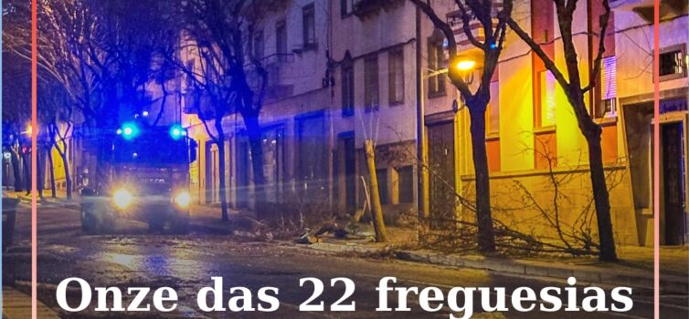 Onze das 22 freguesias de Castelo Branco estão sem energia elétrica