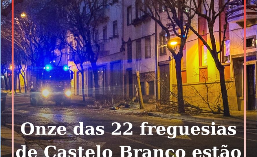 Onze das 22 freguesias de Castelo Branco estão sem energia elétrica