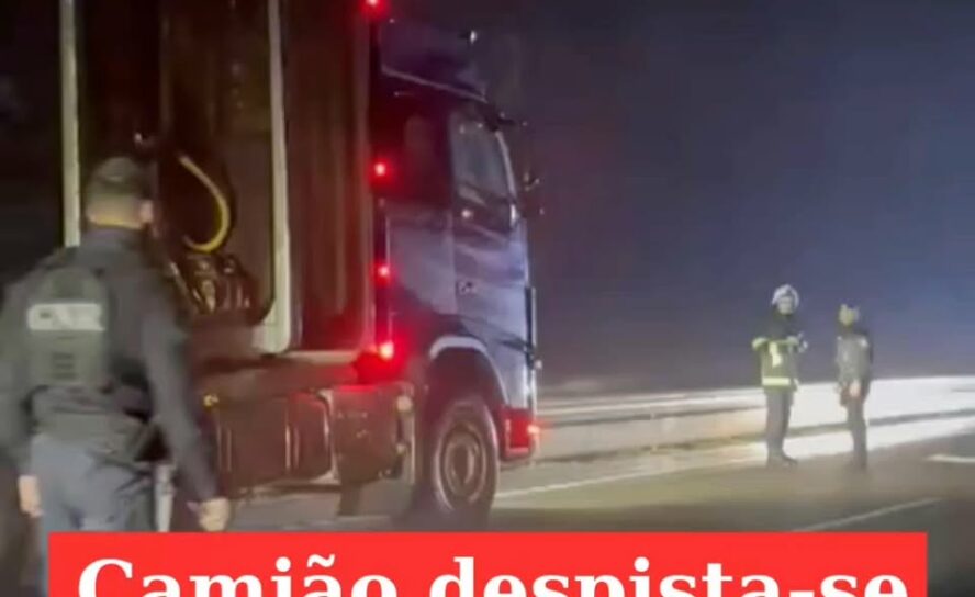 Pesado de mercadorias despita-se no IC8