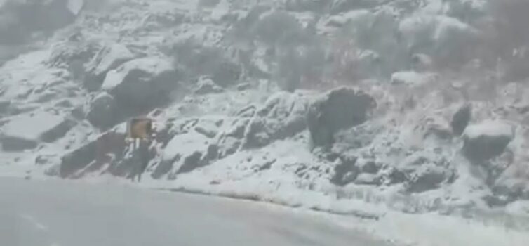Previsão de neve acima dos 800 metros leva autoridades a lançar apelo