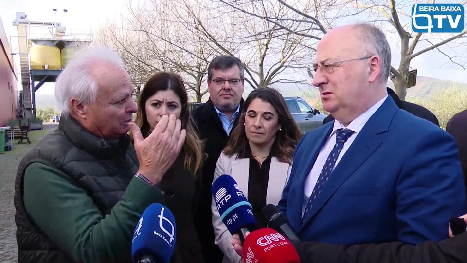 São milhares, as oliveiras arrancadas pela força da Depressão Kristin ao longo d