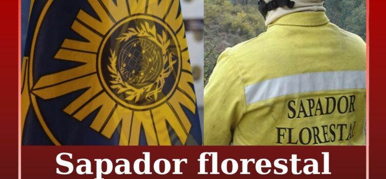 Sapador florestal denuncia abusos e bullying em Seia