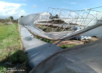 Tempestade Kristin causa estragos em Alcains