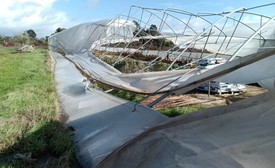 Tempestade Kristin causa estragos em Alcains