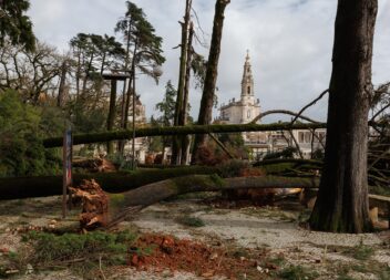 Tempestade Kristin derruba dezenas de árvores no Santuário de Fátima