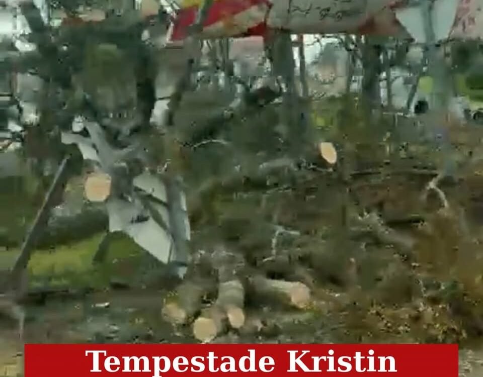 Tempestade Kristin em Proença-a-Nova