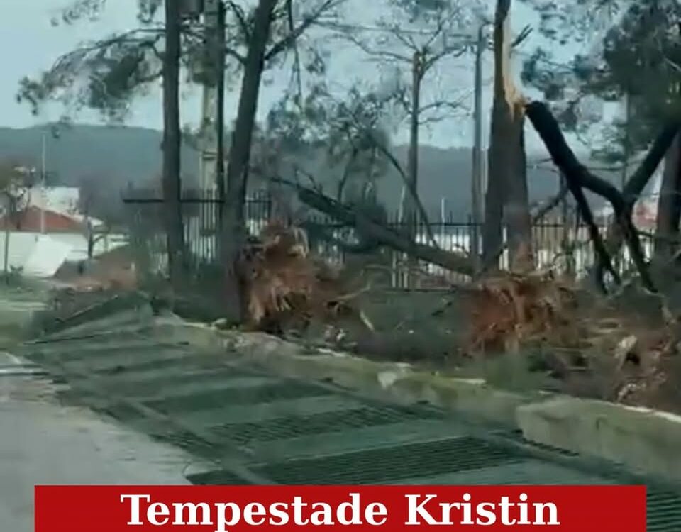Tempestade Kristin em Vila Velha de Ródão