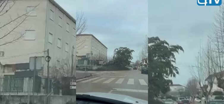 Tempestade Kristin na Sertã