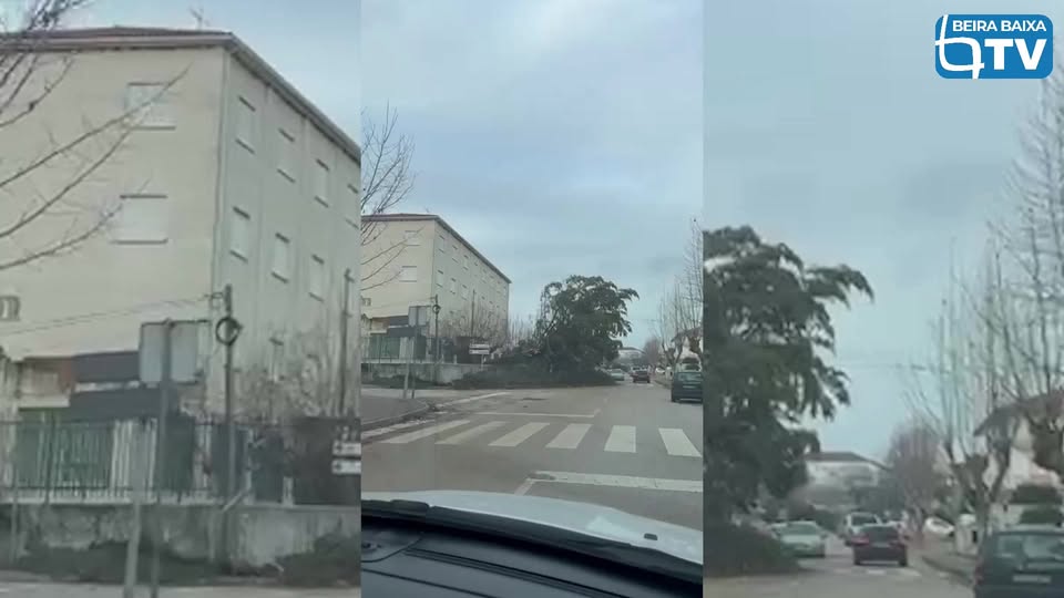 Tempestade Kristin na Sertã