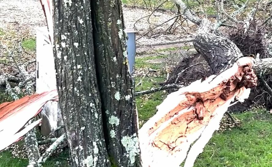 Tempestade provoca danos em Castelo Branco