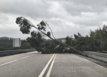 Tempestade provoca danos em Vila de Rei