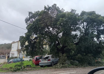 Tempestade provoca estragos em Salgueiro do Campo