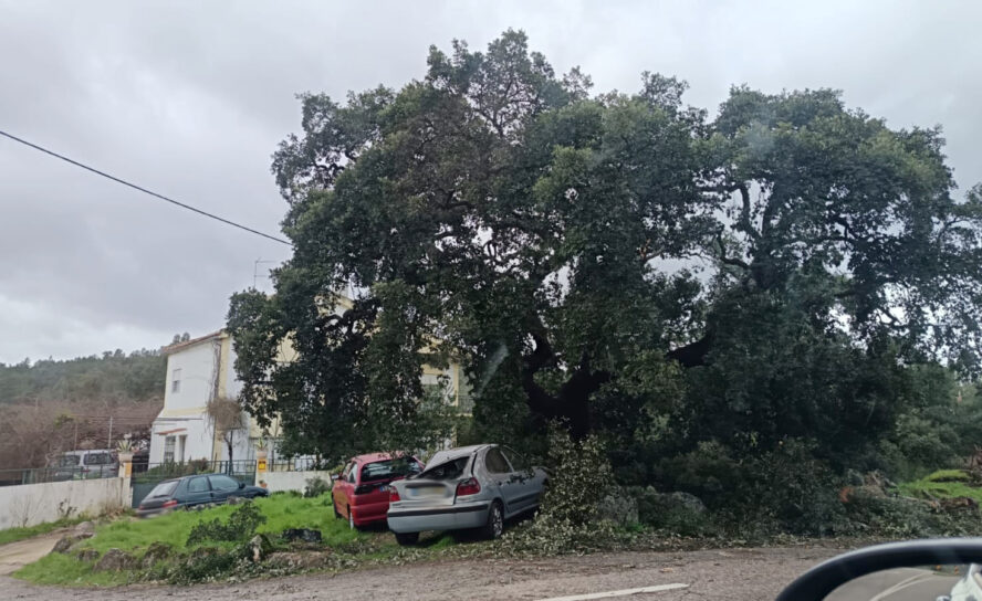 Tempestade provoca estragos em Salgueiro do Campo