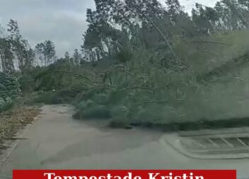 Temporal causa vários estragos em Estreito, Oleiros