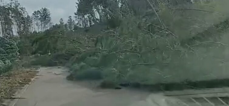 Temporal causa vários estragos em Estreito
