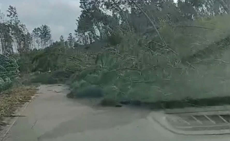 Temporal causa vários estragos em Estreito