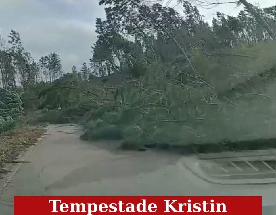 Temporal causa vários estragos em Estreito, Oleiros