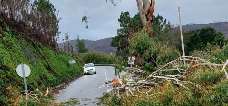 Temporal causa vários estragos no Barco