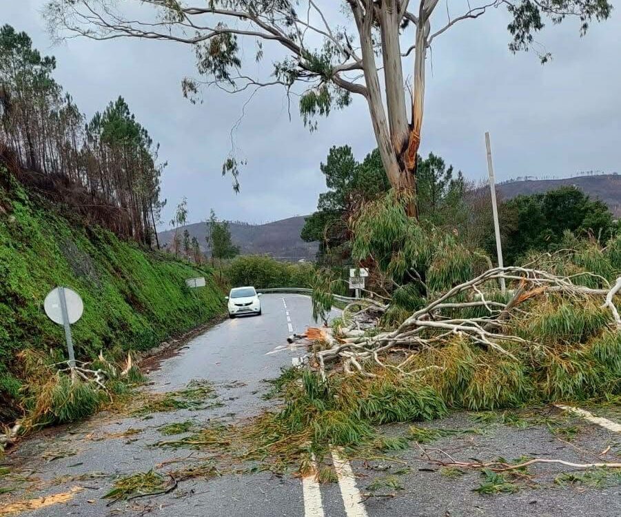 Temporal causa vários estragos no Barco