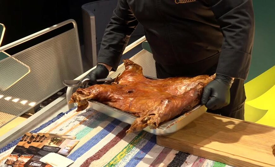 EM DIRETO: BEIRA BAIXA TV