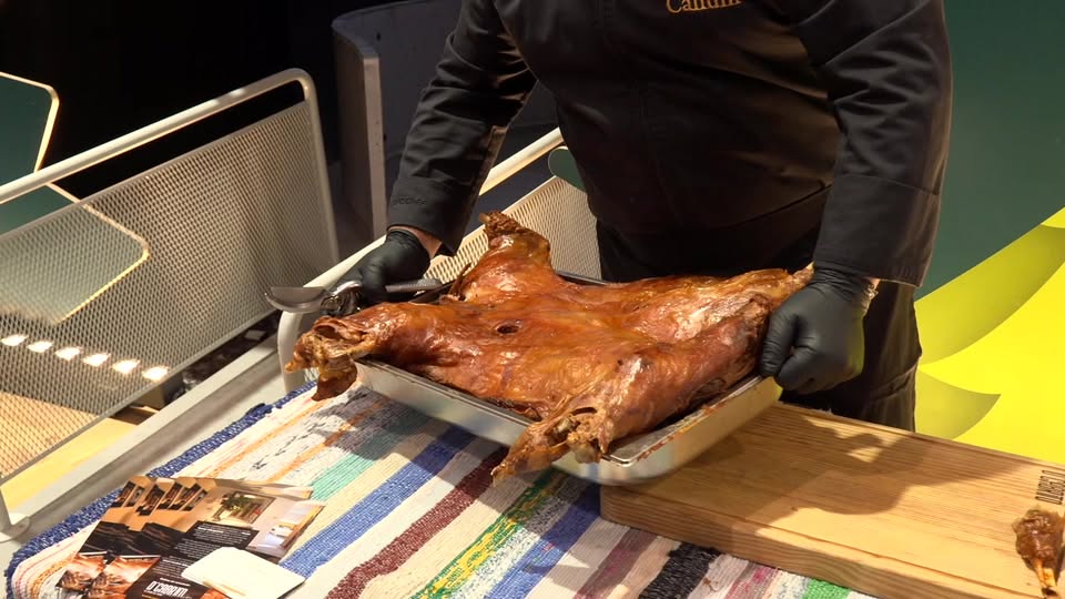 EM DIRETO: BEIRA BAIXA TV