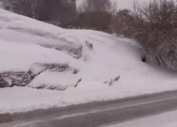 A queda de neve voltou a cobrir de branco as Penhas da Saúde