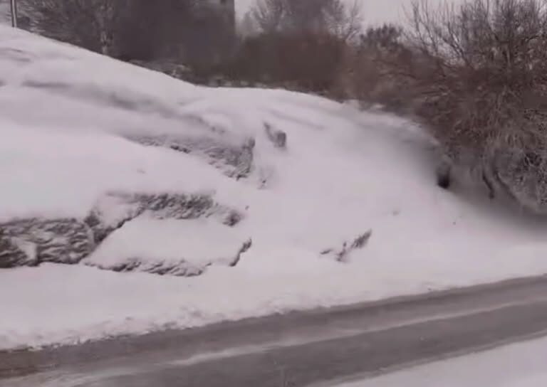 A queda de neve voltou a cobrir de branco as Penhas da Saúde