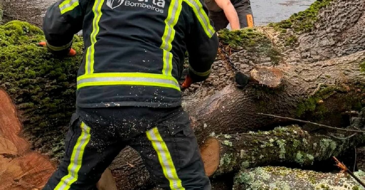 Bombeiros da Sertã agradecem apoio da população e entidades após Depressão Krist