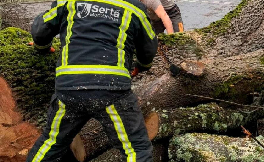 Bombeiros da Sertã agradecem apoio da população e entidades após Depressão Krist