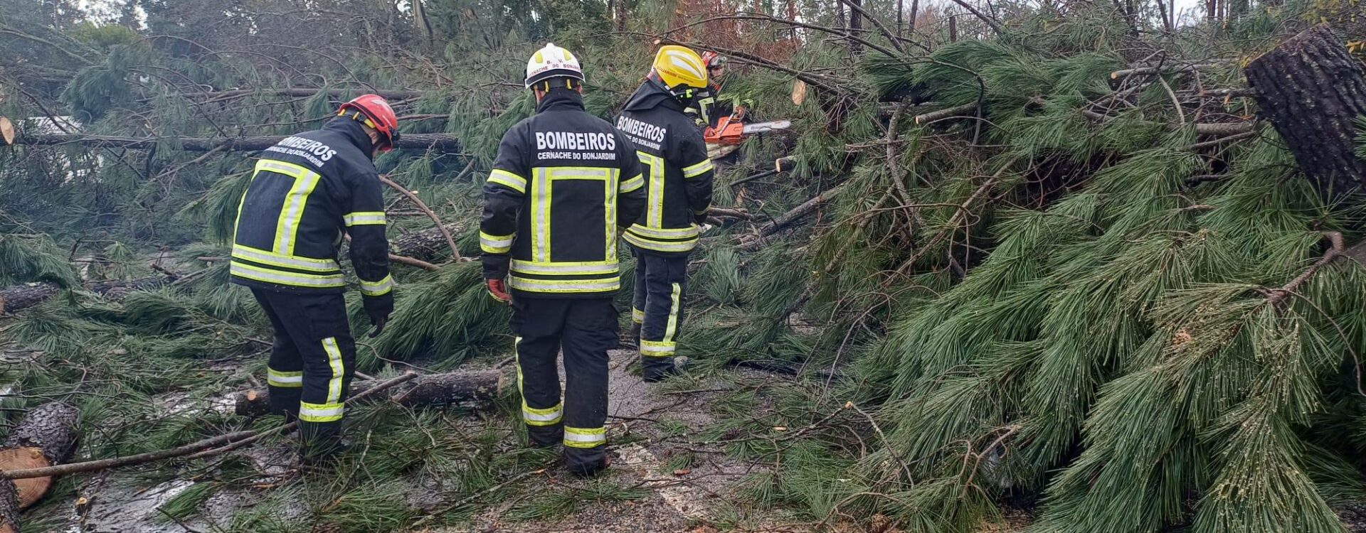 Bombeiros de Cernache do Bonjardim mantêm-se no terreno