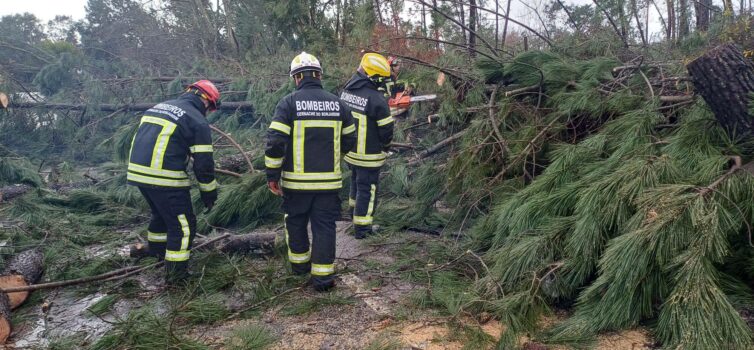 Bombeiros de Cernache do Bonjardim mantêm-se no terreno