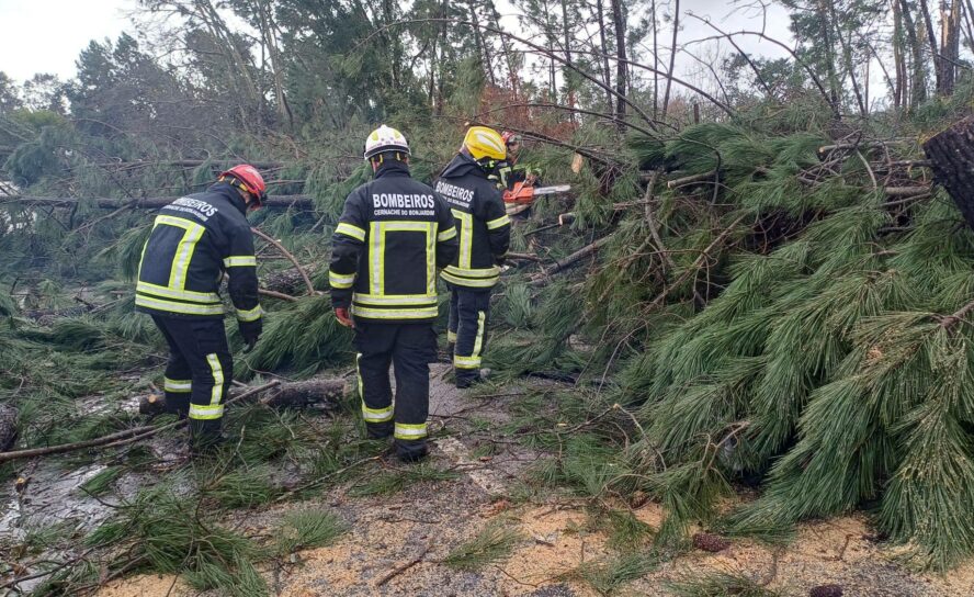Bombeiros de Cernache do Bonjardim mantêm-se no terreno