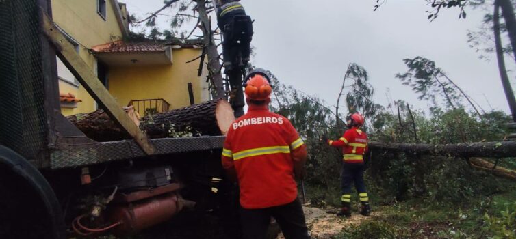 Bombeiros de Idanha-a-Nova e Cernache do Bonjardim atuam em conjunto