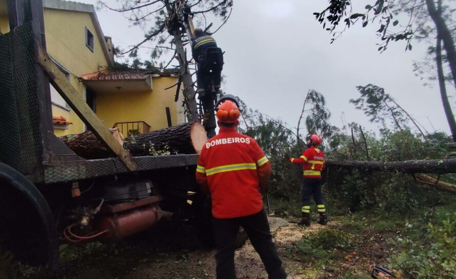 Bombeiros de Idanha-a-Nova e Cernache do Bonjardim atuam em conjunto