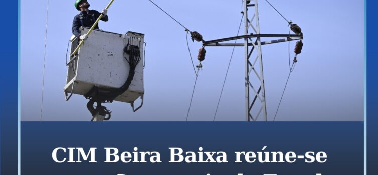 CIM Beira Baixa reuniu-se com a Secretaria de Estado da Energia e E-